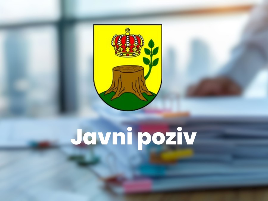 JAVNI POZIV ZA DODJELU STIPENDIJE SREDNJOŠKOLCIMA